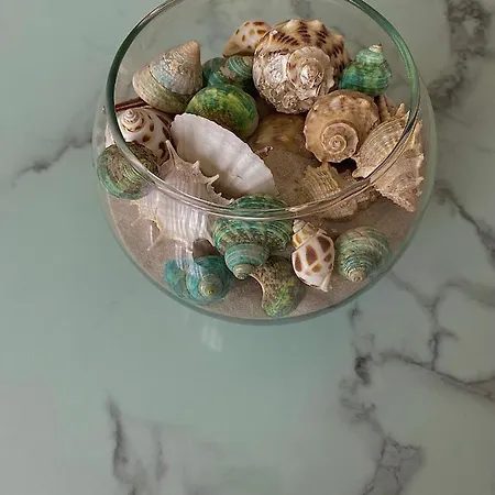 Avrora شقة فارنا