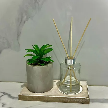 Apartmán Avrora Varna